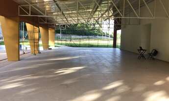 Imagem 3: QUARTZO - LOTE NASCENTE - QUITADO