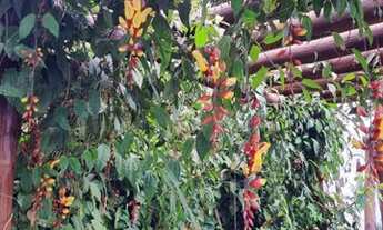 Imagem 4: Fazenda/Sítio/Chácara para venda com 400 metros quadrados com 3 quartos