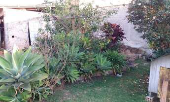 Imagem 4: Terreno 15,00 x 30,00 Comercial Pinhais