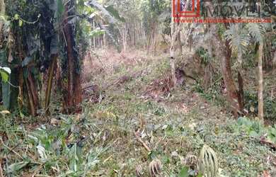 Imagem 8: TERRENO RESIDENCIAL em Embu das Artes - SP, Jardim Torino