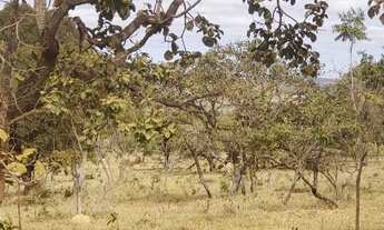 Imagem 4: Chácara 2 HECTARES