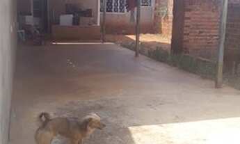 Imagem 4: Casa com 2 dormitórios à venda, 150 m² por R$ 150.000,00 - Parque das Amoras II - São José