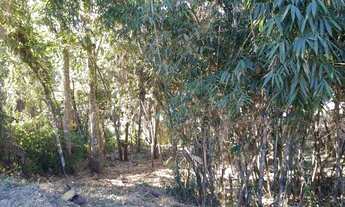 Imagem 2: Casa de condomínio para venda tem 686 metros quadrados