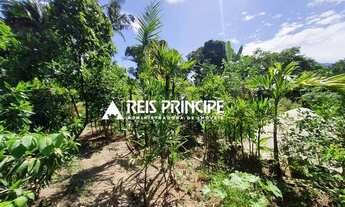 Imagem 7: TERRENO COMERCIAL PARA ALUGAR EM VARGEM GRANDE