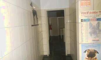 Imagem 3: Casa para para aluguel no bairro Boa Vista, em São José do Rio Preto - SP