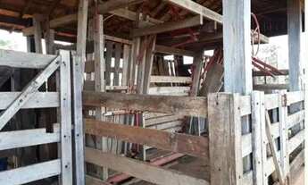 Imagem 4: Fazenda para Venda em Centro Inocência-MS - 3135