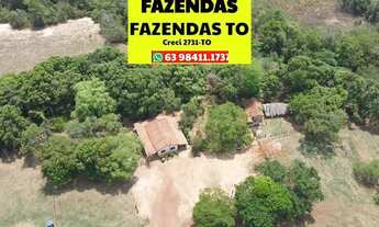 Imagem 6: Fazenda beira da BR 13 região Central do Tocantins ....