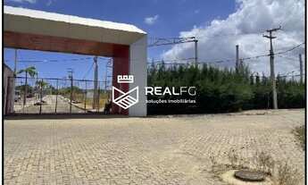 Imagem 2: São Gonçalo do Amarante/CE - Arapixi