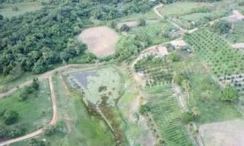 Imagem: Sítio em Estância-Se