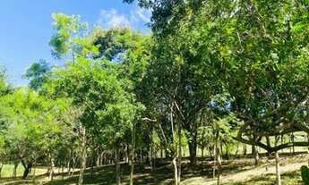 Imagem 5: Lote/Terreno para venda com 1000 metros quadrados em Vila Dominguinho - Votorantim - SP