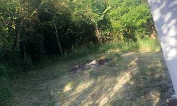 Imagem 5: Casa em viamao Casa com 2 dormitórios