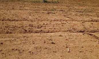 Imagem 4: Chácara em esmeraldas