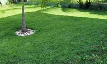 Imagem 4: Excelente casa 3/4 em Arembepe - Terreno com 500m2