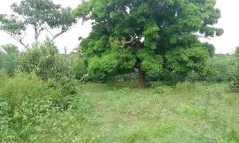 Imagem 3: Fazenda com 370.000 metros quadrados em japecanga. Duas casas. Poço. Riacho