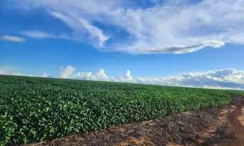 Imagem 2: Ótima fazenda de 520,00 hectares com ótima localização, em Nova Lacerda - MT