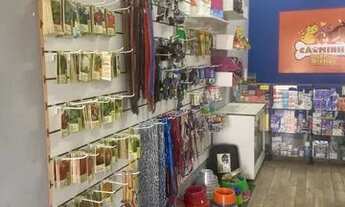 Imagem 4: Passo ponto pet shop