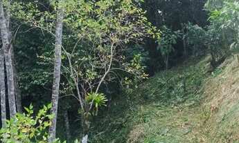 Imagem 2: 127 mil reais com cachoeira 1 hectares