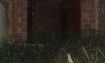 Imagem 6: Vendo casa São Pedro da aldeia