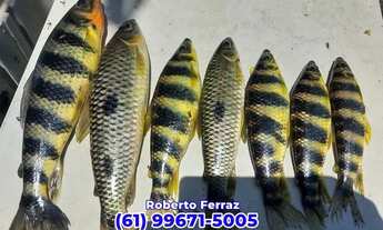 Imagem 2: Chácara para Venda, Rio Verde