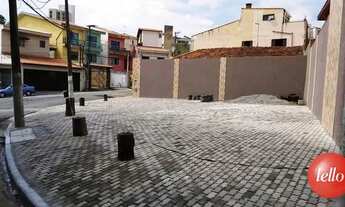 Imagem 2: São Paulo - Terreno Padrão - Vila Carrão