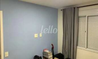 Imagem 3: São Paulo - Apartamento Padrão - Brás