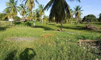 Imagem 2: VENDO FAZENDA NA CIDADE DE TOUROS