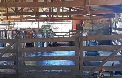 Imagem 4: Sítio à venda, 532400 m² por R$ 4.700.000,00 - Zona Rural - Caldazinha/GO