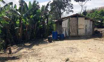 Imagem 3: Sítio a venda Chácara com venda por R$250.000