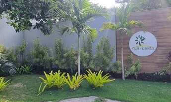 Imagem 3: Terreno em Condomínio Pendotiba