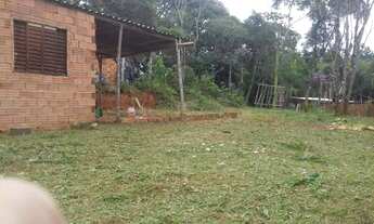 Imagem 4: Vende-se chácara em formação