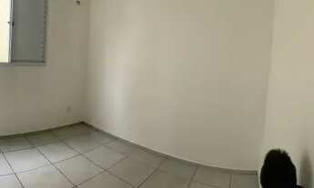 Imagem 5: Apartamento pra locação