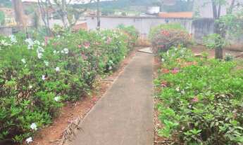 Imagem 2: Linda Chácara à Venda com muito verde em Guaranésia/MG com 6000M2 de área total