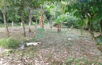 Imagem 5: Lote/Terreno para venda possui 50000 metros quadrados em Centro - Mongaguá - SP