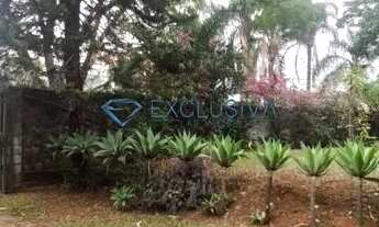 Imagem 3: Casa com 3 dormitórios à venda em Belo Horizonte