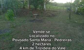 Imagem 3: Sítio Chácara com venda por R$120.000