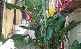 Imagem: Casa de 1 Quarto linda