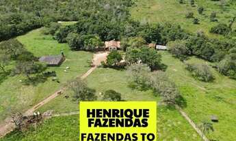 Imagem 2: Fazenda beira da BR 13 região Central do Tocantins ....