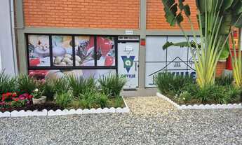 Imagem: Galpão 190m² - Bairro Anita Garibaldi