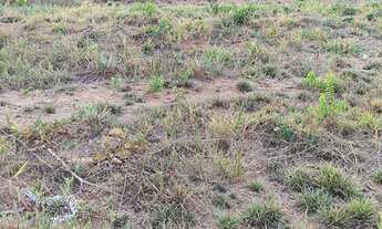 Imagem 5: Vendo dois Lotes no grenville!