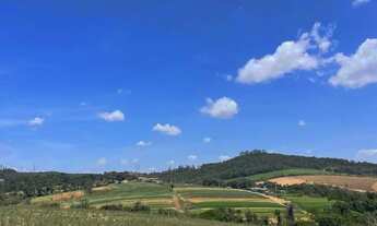 Imagem: Imóvel para venda tem 500 metros quadrados