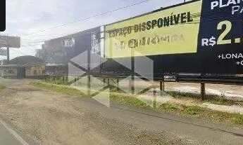 Imagem 5: Terreno à margem da BR 116