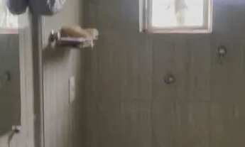 Imagem 6: Casa à venda em Betim - excelente oportunidade!