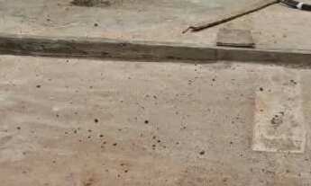 Imagem 2: Lote Casa com 2 banheiros