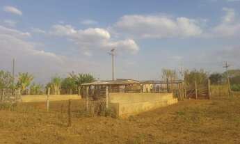 Imagem 3: Chácara 20.000 m² aceita negociação