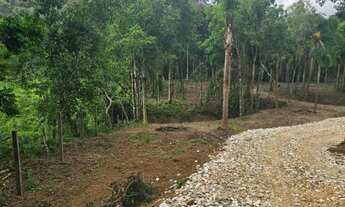Imagem: Belas Áreas a venda Roseira, ótima oportunidade