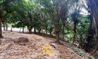 Imagem 3: TERRENO ARAÇAGY