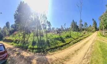 Imagem 7: Vendas Terreno Tijucas Do Sul PR