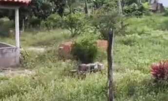 Imagem 4: Casa Grande Com Sítio