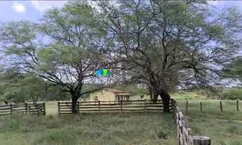 Imagem 7: FAZENDA À VENDA - 4.000 HECTARES - JAÍBA (MG