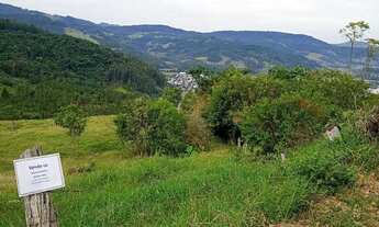 Imagem 3: Vendo terreno em rolante 33x45m